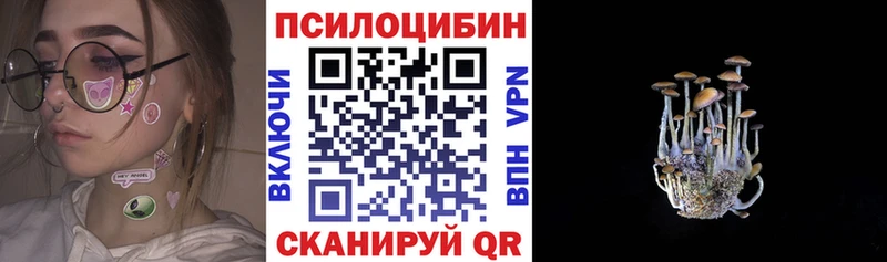 Псилоцибиновые грибы Magic Shrooms  Борзя 